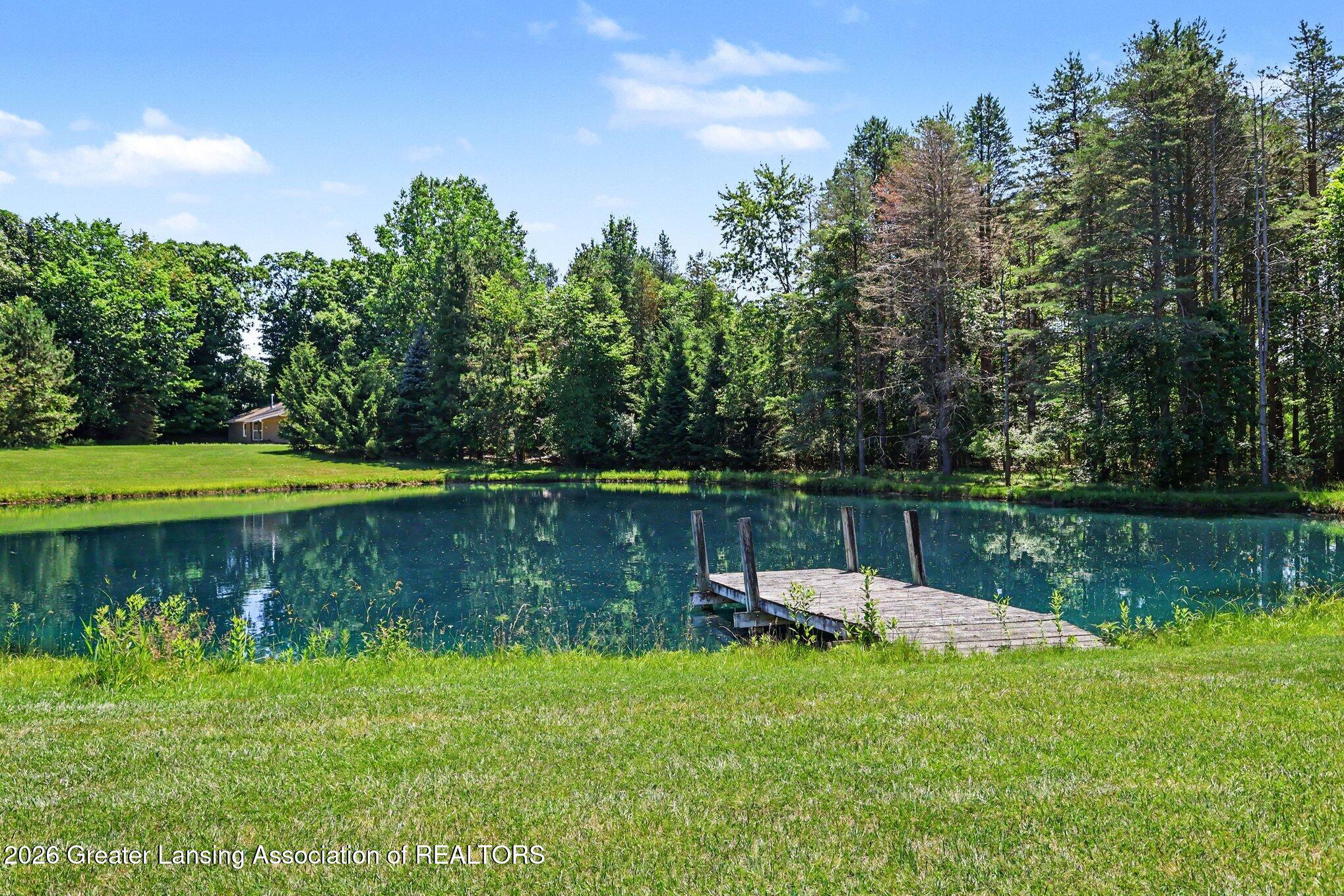 905 West Dansville Road Mason, MI 48854 - Photo 45 of 50 Pond