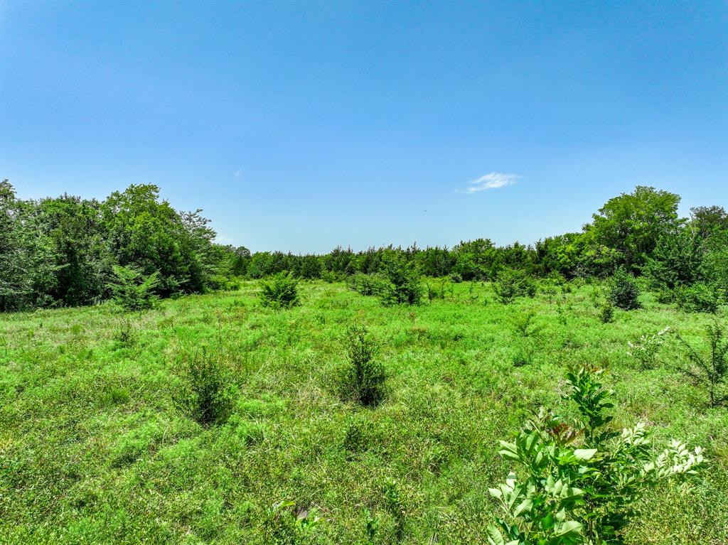 0 West Farm Road Talco, TX 75487 - Photo 34 of 37 Gallery Image 34