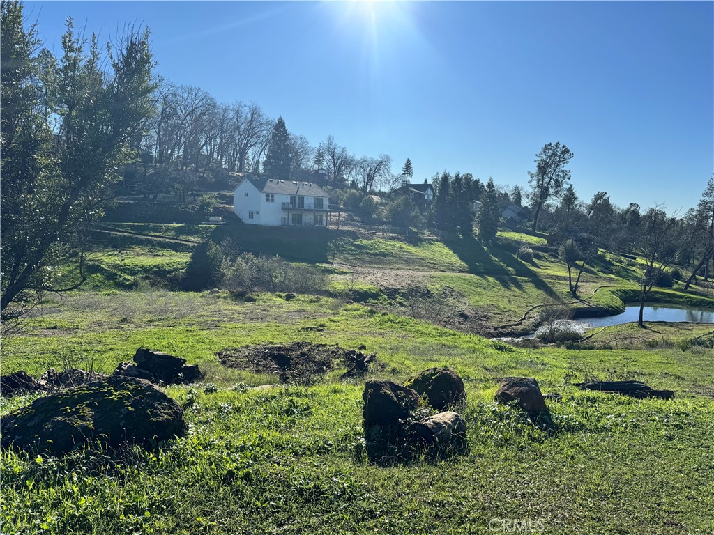0 Sandbar Court Paradise, CA 95969 - Photo 1 of 8 a view of a garden with a lake