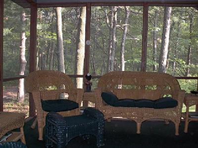 Screened porch with woodsy views