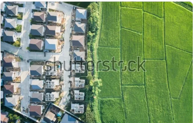 $220,000 | 4546 South Cottage Grove Avenue, Chicago, IL 60653