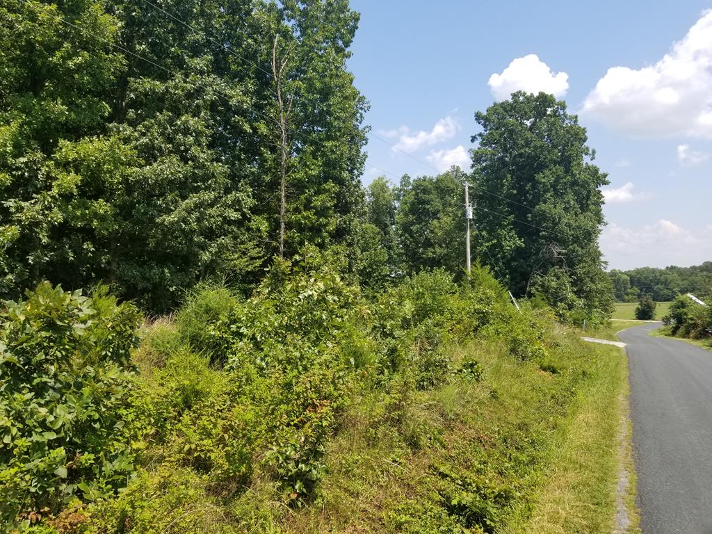 Spring Drive Appomattox, VA 24522 - Photo 1 of 3 Gallery Image 1