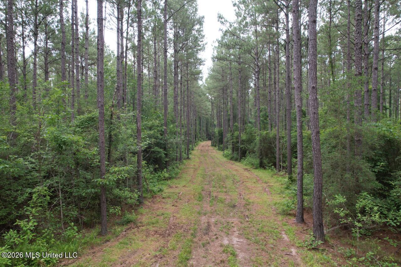 6643 Grange Hall Road Osyka, MS 39657 - Photo 39 of 39 DJI_0163 Large