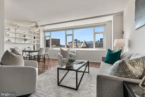 a living room with furniture and a potted plant