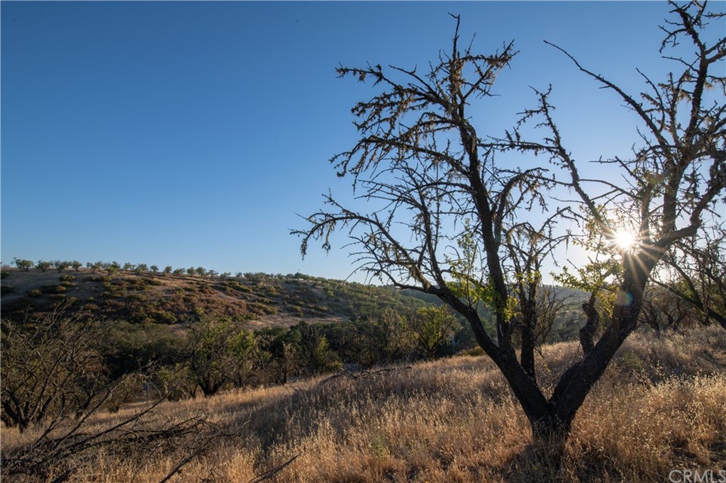 4150 Rancho Road Templeton, CA 93465 - Photo 1 of 1 Gallery Image 1