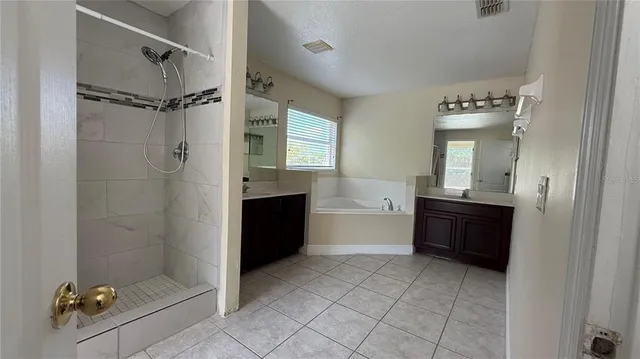 a bathroom with a tub shower vanity and a sink
