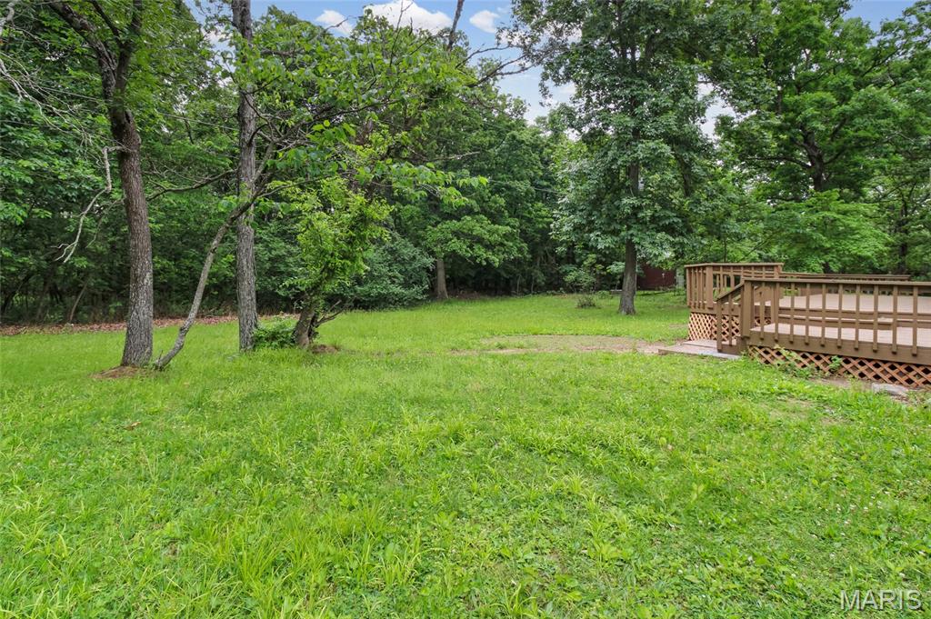 1485 Rue Riviera Bonne Terre, MO 63628 - Photo 30 of 95