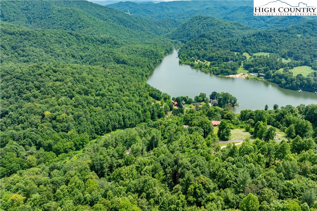 Lot 13 Lake Ridge Butler, TN 37640 - Photo 14 of 25 a view of a garden with a lake