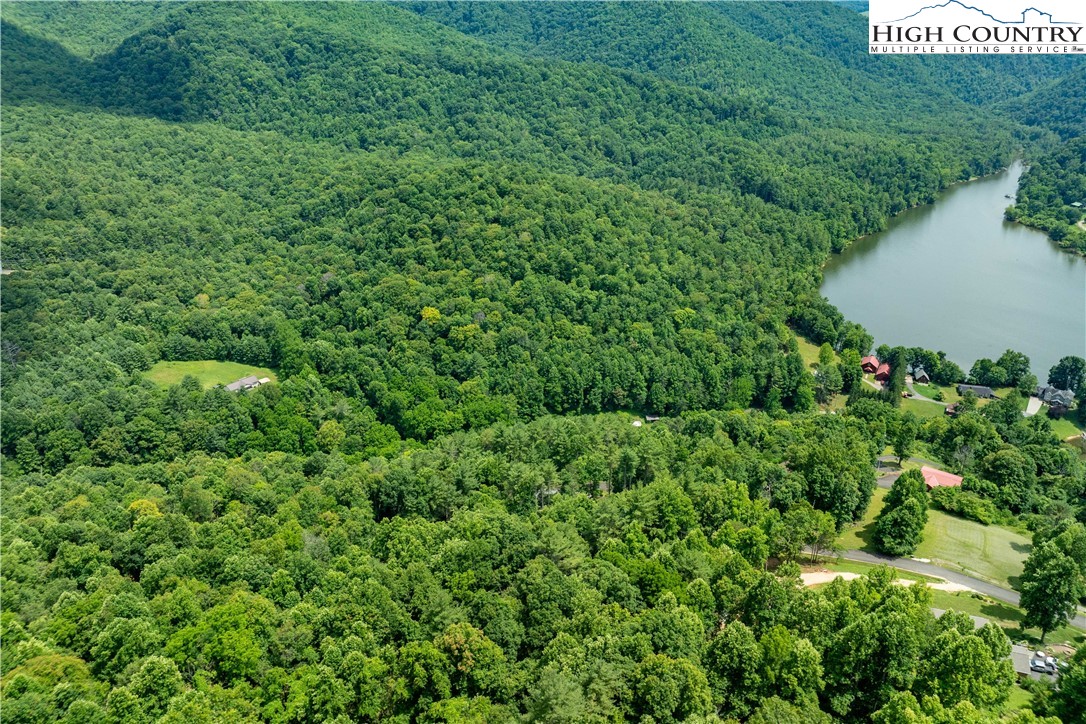 Lot 13 Lake Ridge Butler, TN 37640 - Photo 16 of 25 a view of a garden