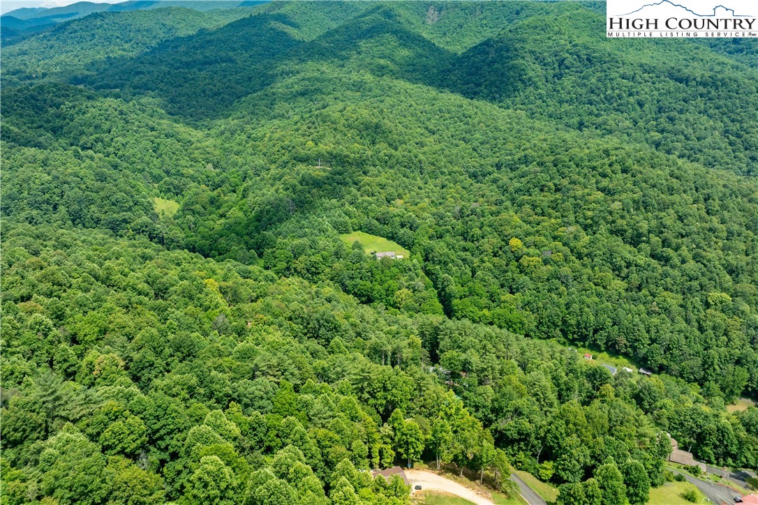Lot 13 Lake Ridge Butler, TN 37640 - Photo 18 of 25 a view of a lush green forest