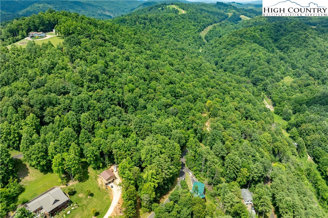 Lot 13 Lake Ridge Butler, TN 37640 - Photo 20 of 25 view of a lush green forest with lots of trees