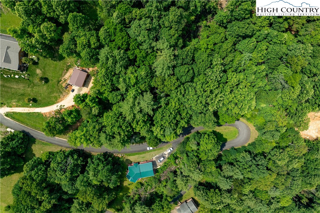 Lot 13 Lake Ridge Butler, TN 37640 - Photo 2 of 25 a plant that is in a garden
