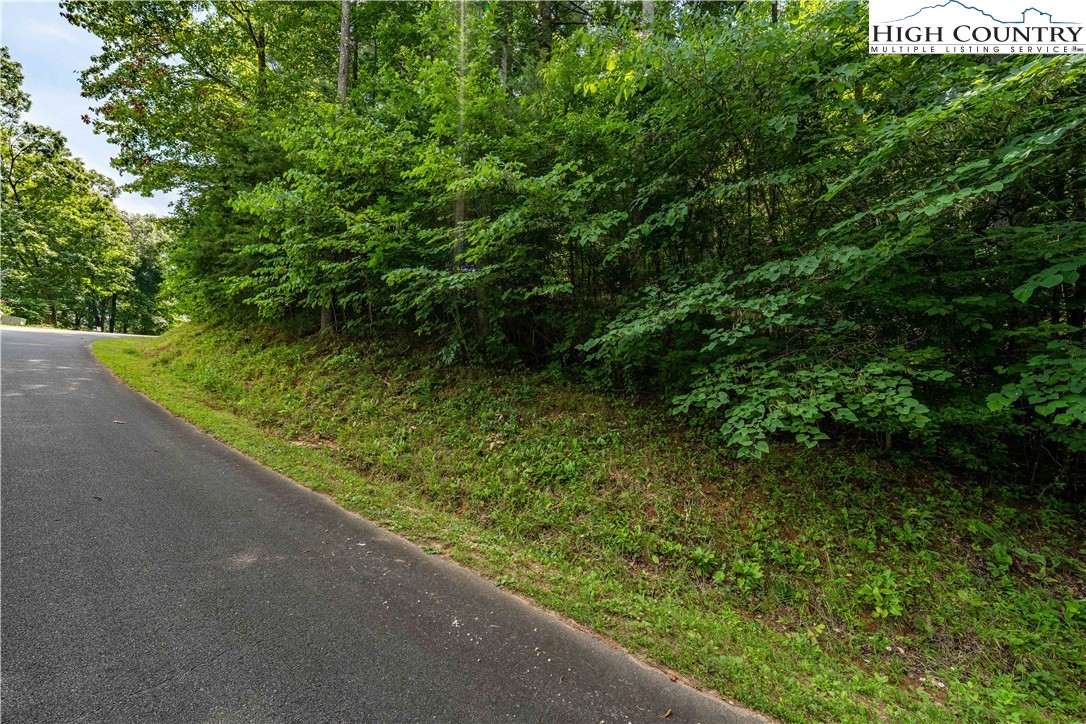 Lot 13 Lake Ridge Butler, TN 37640 - Photo 21 of 25 a view of a garden