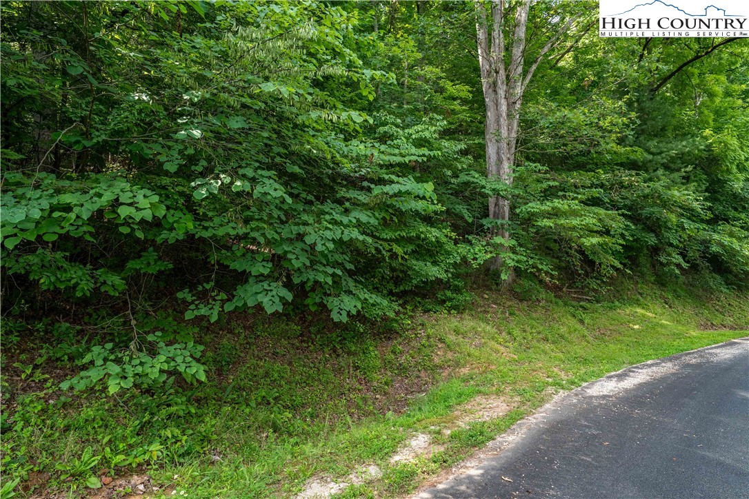 Lot 13 Lake Ridge Butler, TN 37640 - Photo 22 of 25 a view of a lush green forest