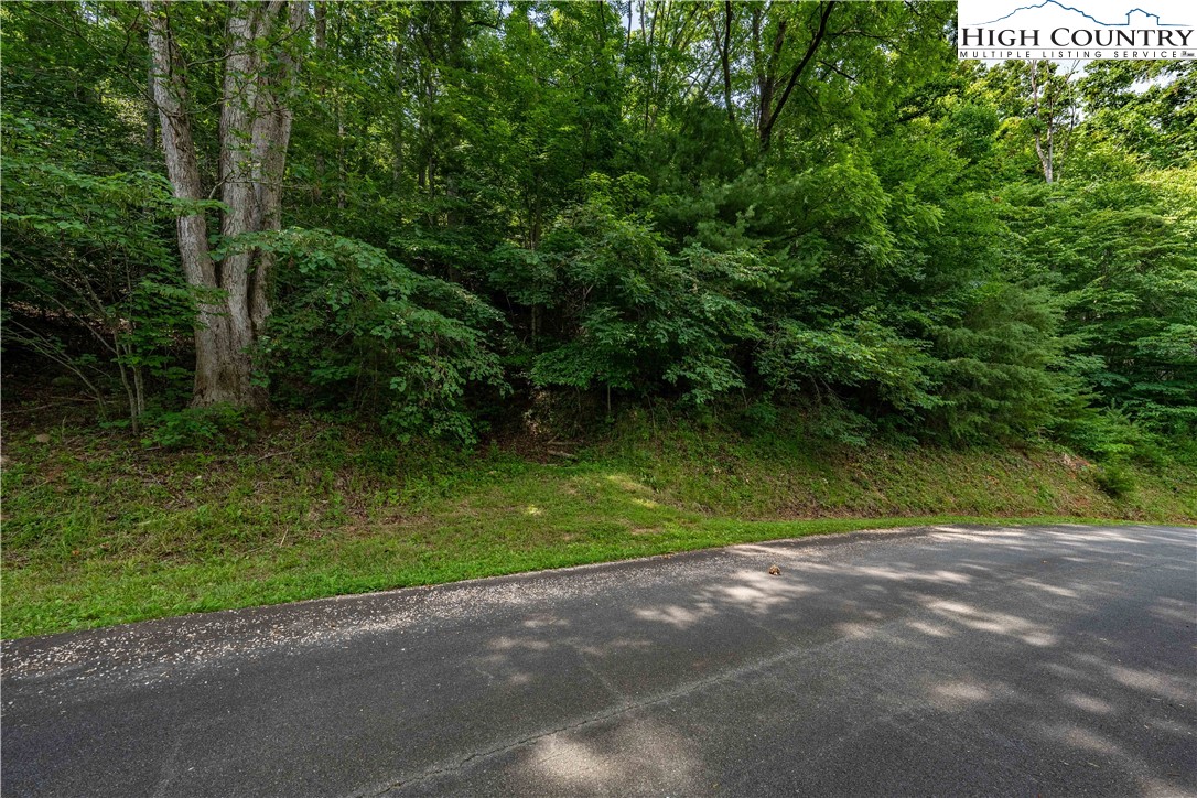 Lot 13 Lake Ridge Butler, TN 37640 - Photo 23 of 25 a view of outdoor space and yard