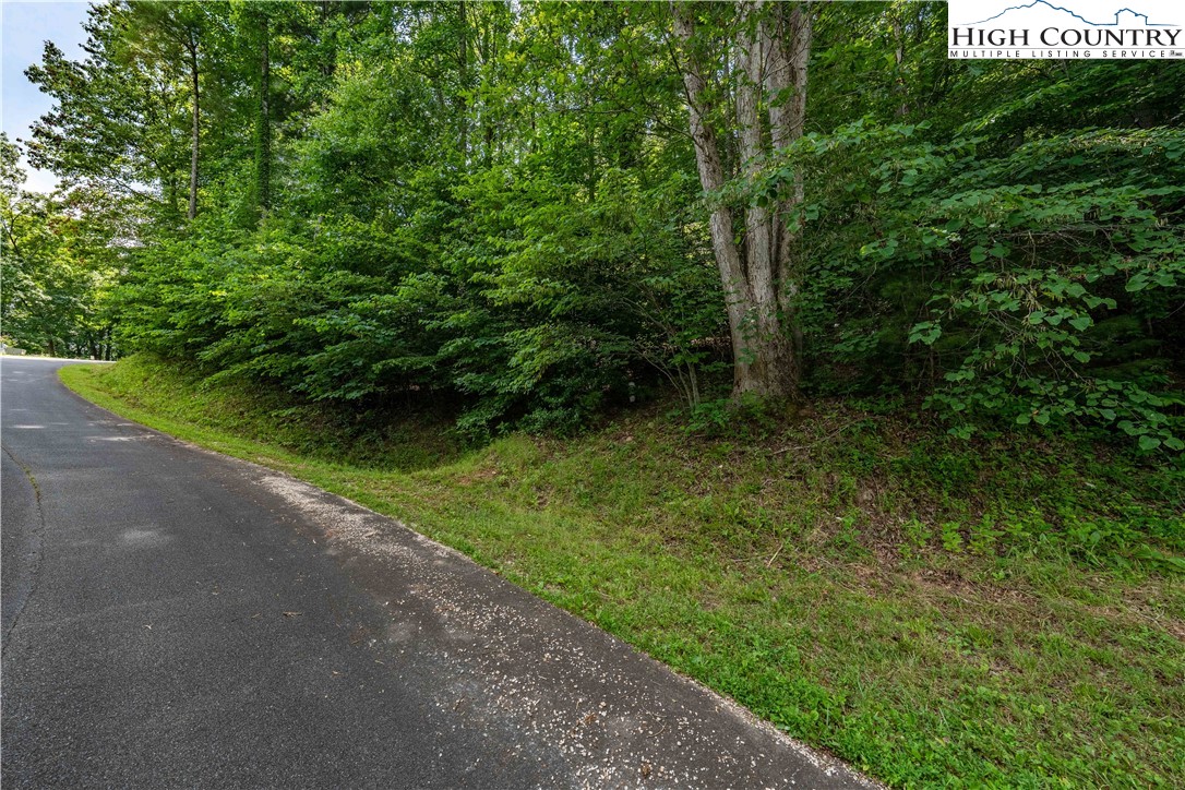Lot 13 Lake Ridge Butler, TN 37640 - Photo 24 of 25 a view of a yard with plants and a trees