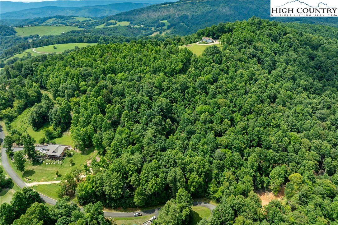 Lot 13 Lake Ridge Butler, TN 37640 - Photo 4 of 25 a view of a lush green forest with lots of trees