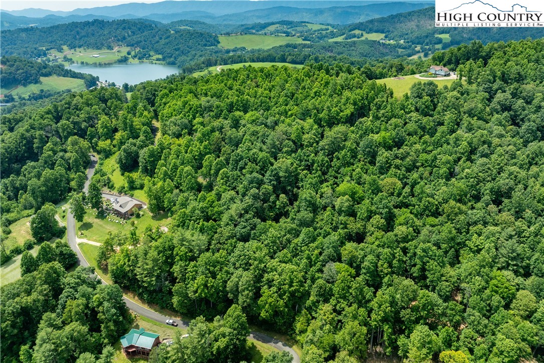 Lot 13 Lake Ridge Butler, TN 37640 - Photo 6 of 25 a view of a lush green forest with houses