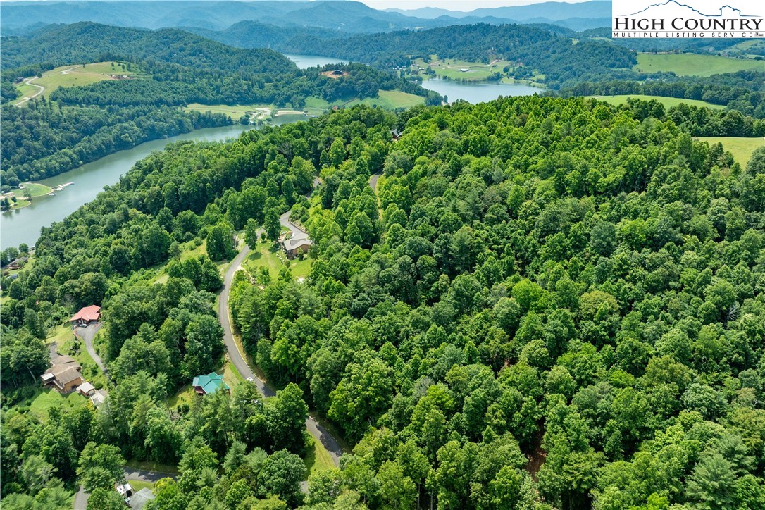 Lot 13 Lake Ridge Butler, TN 37640 - Photo 8 of 25 an aerial view of residential house with outdoor space and trees all around