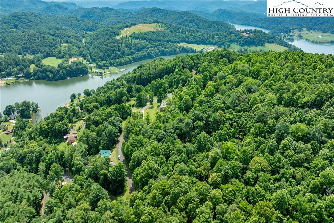 Lot 13 Lake Ridge Butler, TN 37640 - Photo 10 of 25 an aerial view of residential house with outdoor space and trees all around