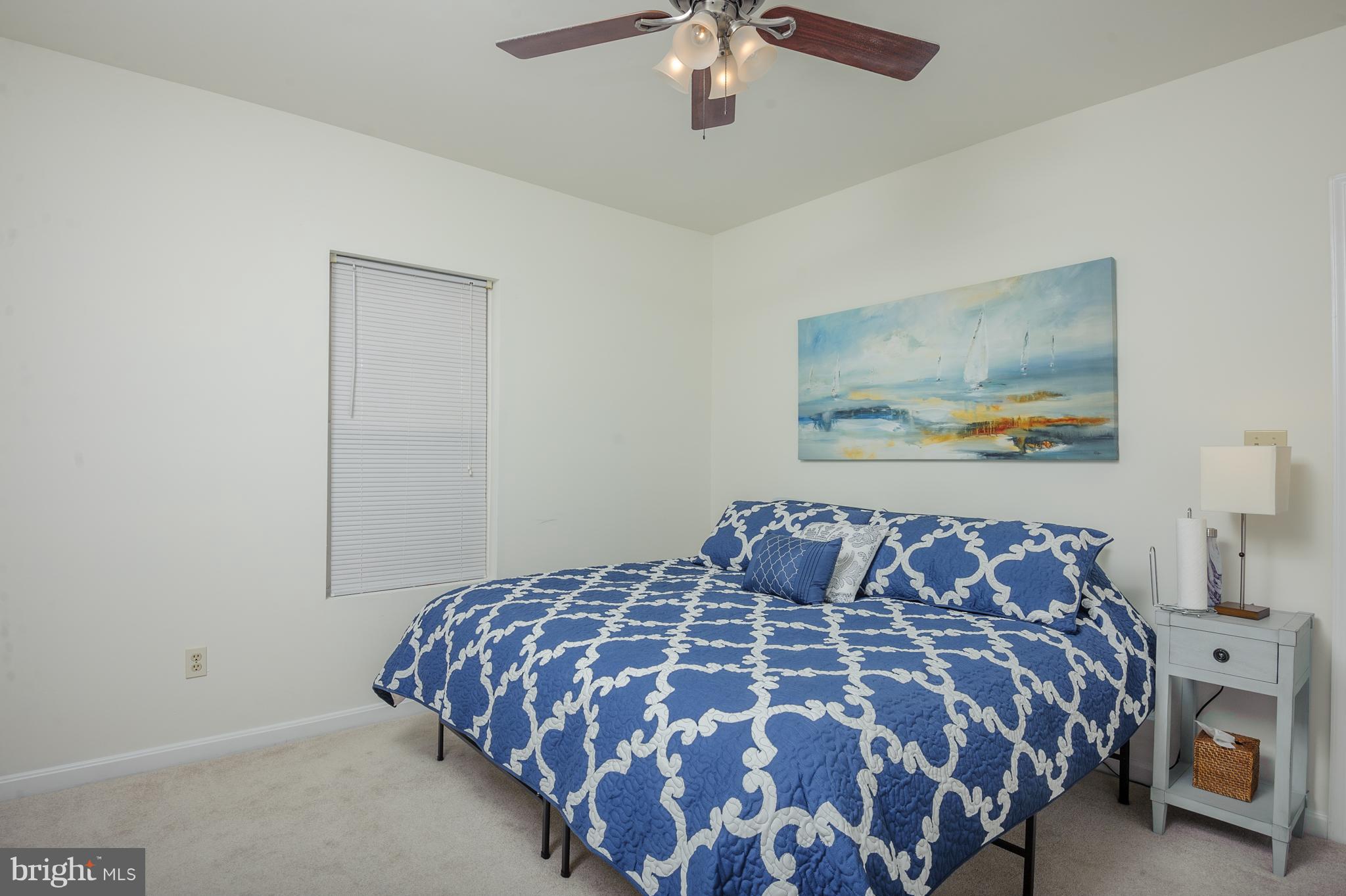 516 Second Street Annapolis, MD 21403 - Photo 7 of 20 There is a ceiling fan and carpet n the MBR.
