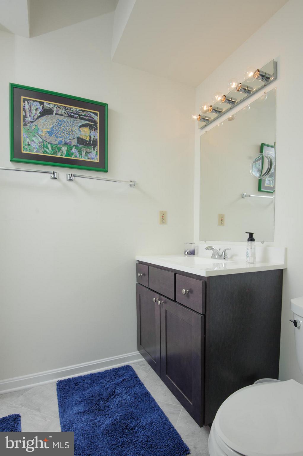 516 Second Street Annapolis, MD 21403 - Photo 10 of 20 Ensuite master bath with skylight.