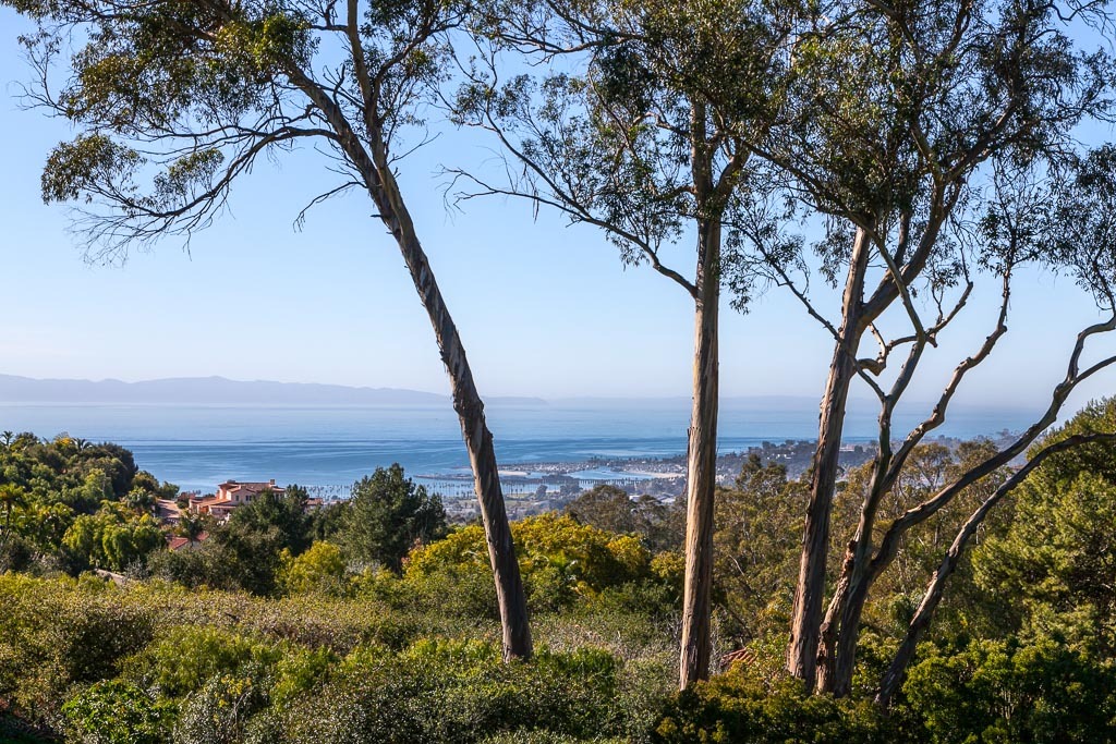 524 Barker Pass Road Montecito, CA 93108 - Photo 2 of 19 a view of a backyard of the house