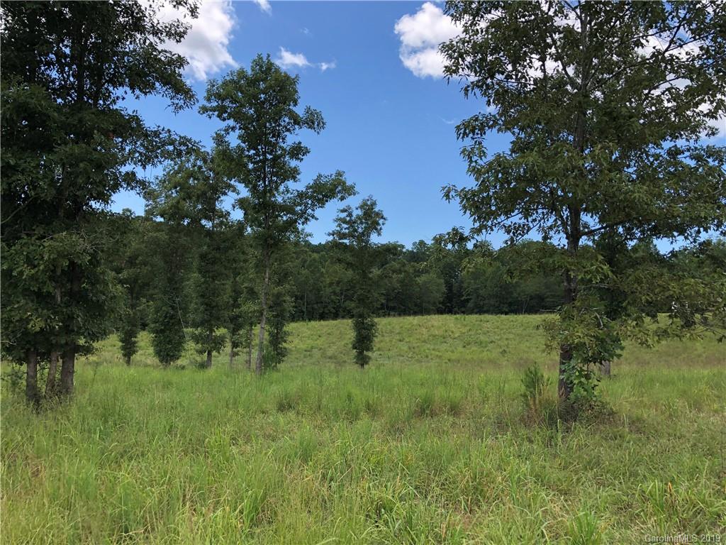 1161 Big Level Road Mill Spring, NC 28756 - Photo 2 of 7