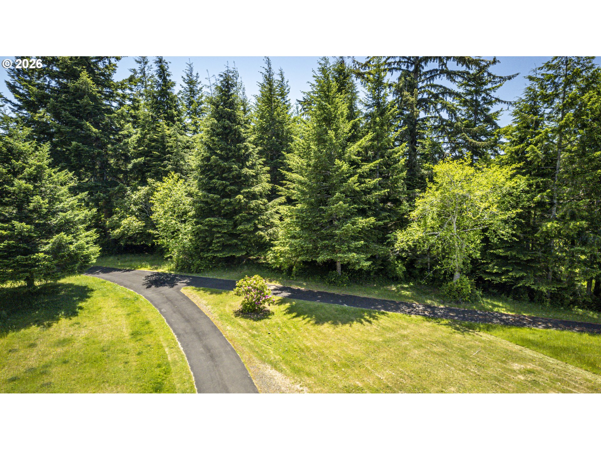 89616 Ben Bunch Road Florence, OR 97439 - Photo 14 of 48 Driveway