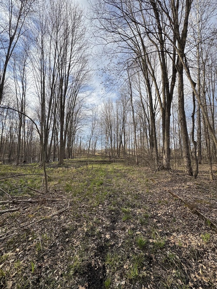 Vl Estey Road Bentley, MI 48613 - Photo 34 of 83
