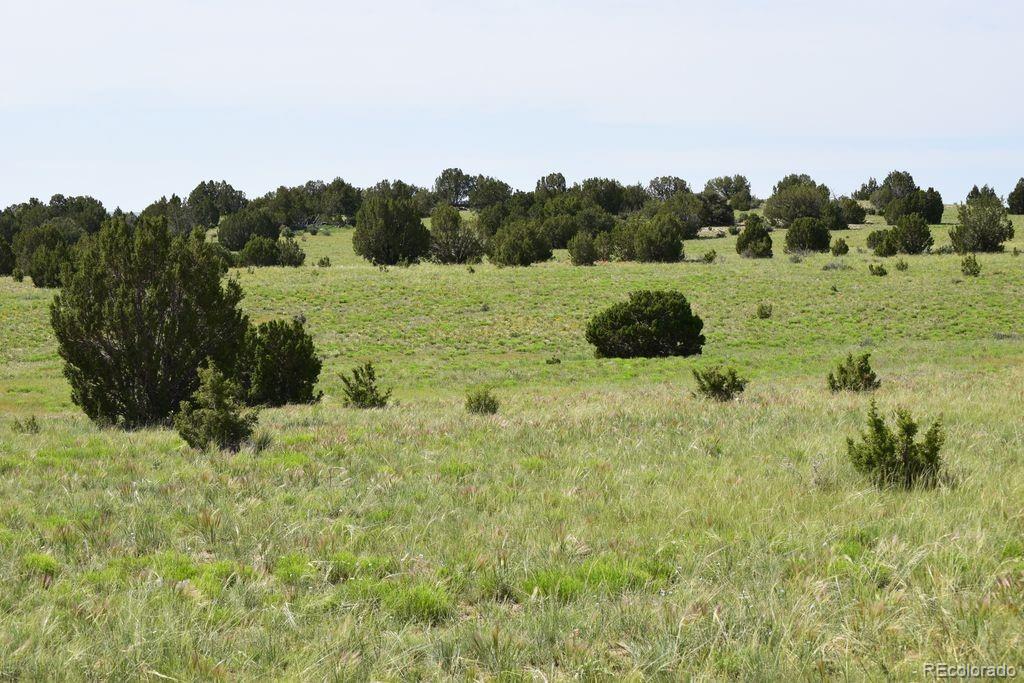 0 Claymine Road Rye, CO 81069 - Photo 14 of 33 Gallery Image 14