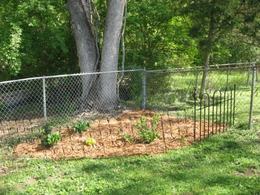 127 Tyson Road Oak Ridge, TN 37830 - Photo 22 of 22 Additional Photo