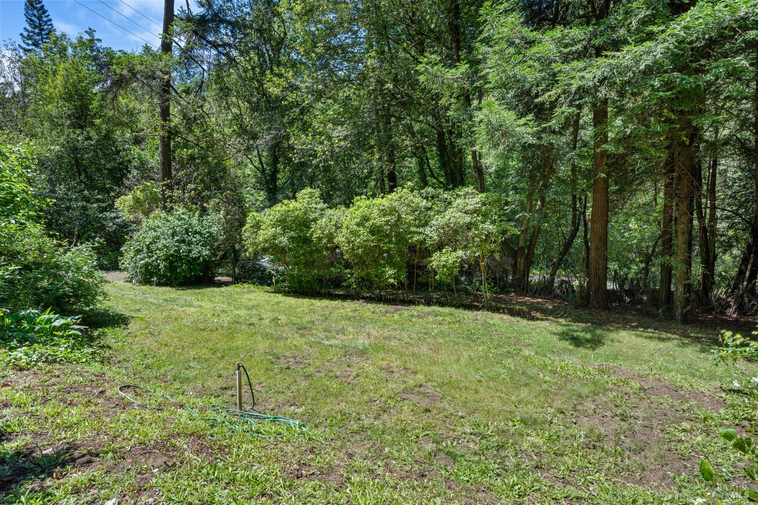 805 Wagnon Road Sebastopol, CA 95472 - Photo 49 of 56 View of lower grounds that are level and bathed in sunshine
