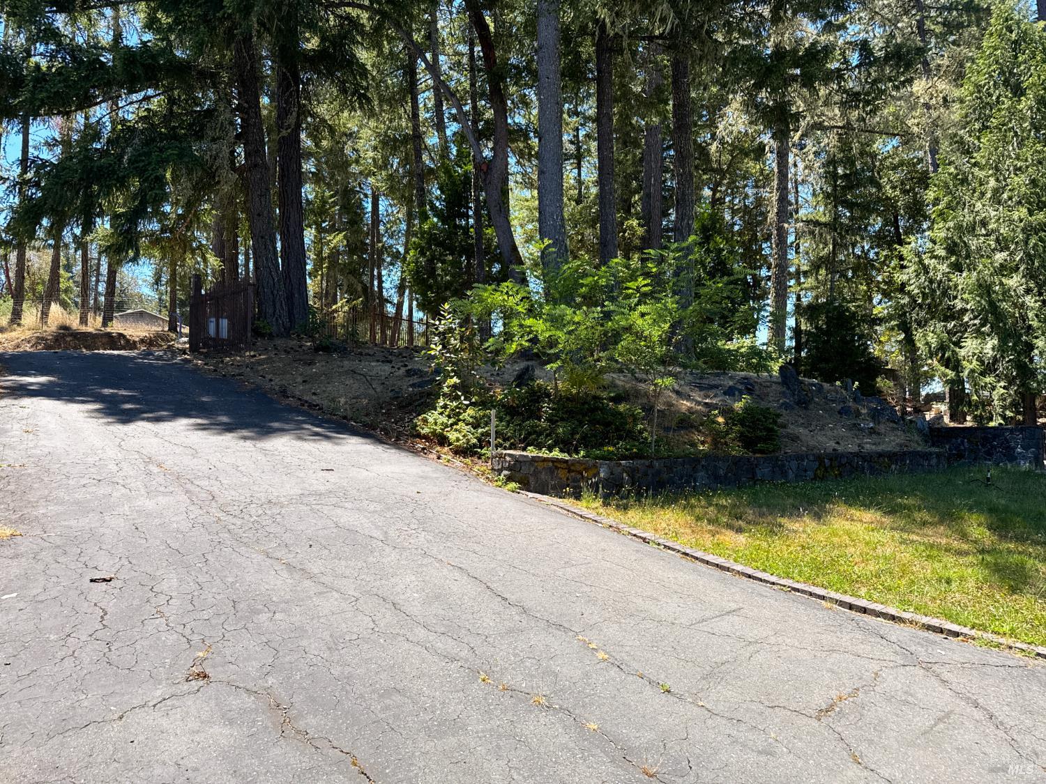 16990 Old Boy Scout Road Willits, CA 95490 - Photo 61 of 80