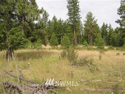 -xxxx Red Feather Loop Road Riverside, WA 98849 - Photo 1 of 1 Gallery Image 1