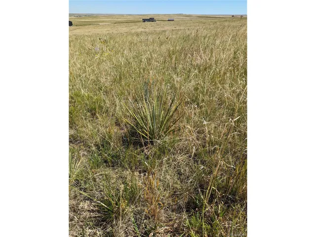 $235,000 | 9 Quietude Lane, Kiowa, CO 80117