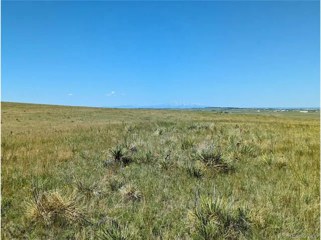 a view of an ocean from a yard
