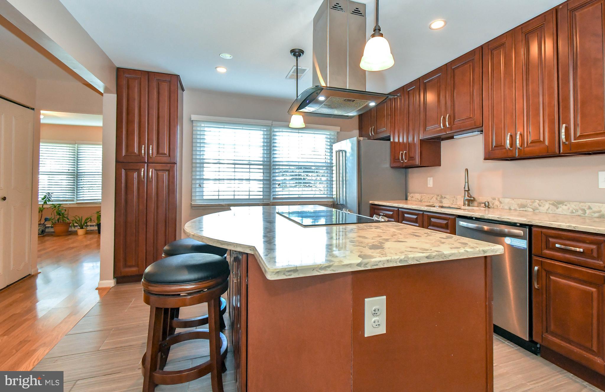 301 South Johnson Road Sterling, VA 20164 - Photo 3 of 25 Stunning updated gourmet kitchen