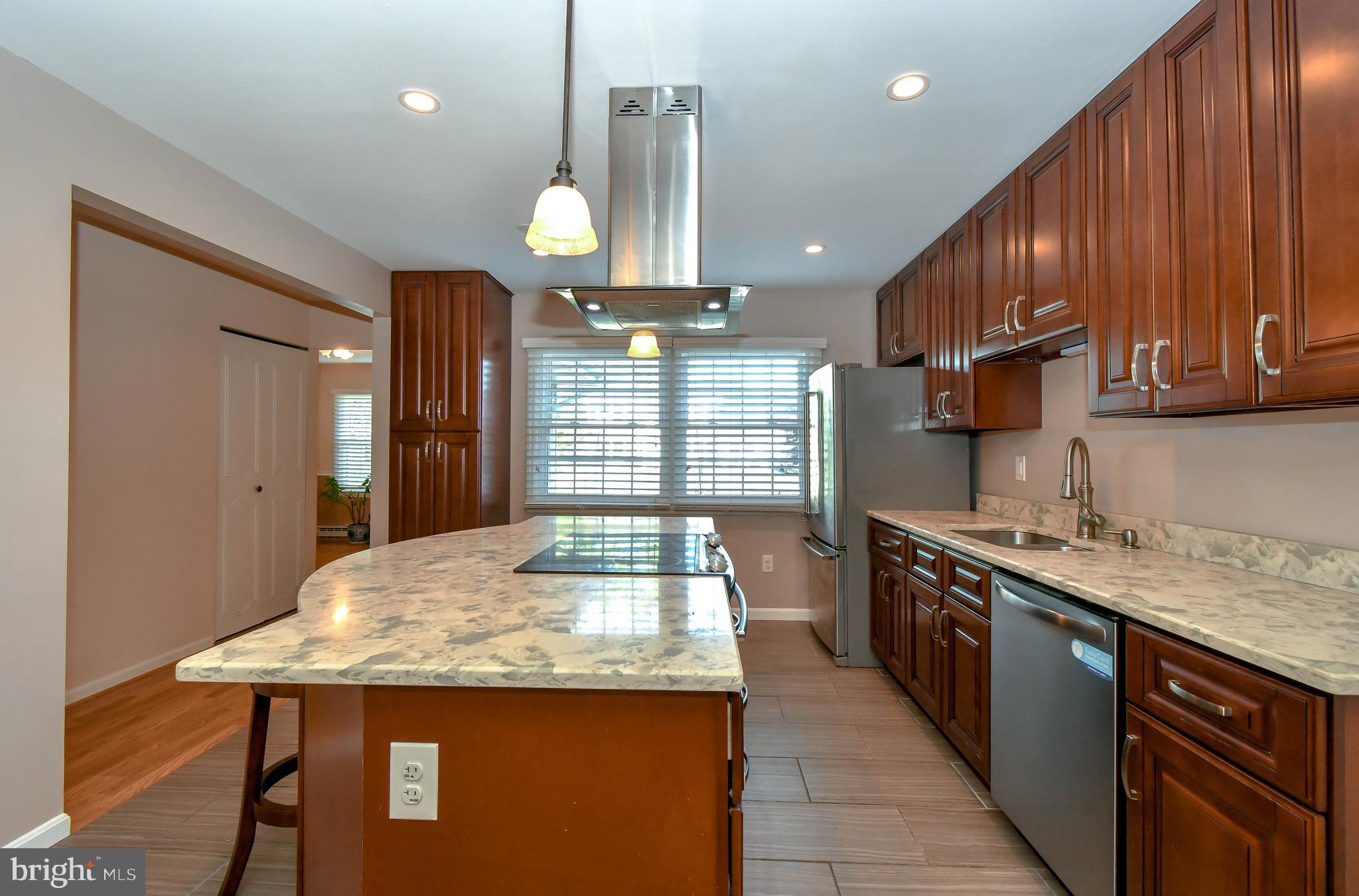 301 South Johnson Road Sterling, VA 20164 - Photo 4 of 25 Stunning updated gourmet kitchen