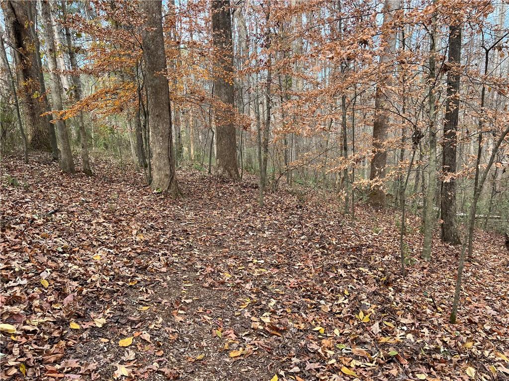 667 B Avery Road Canton, GA 30115 - Photo 12 of 15 a view of a yard with large trees