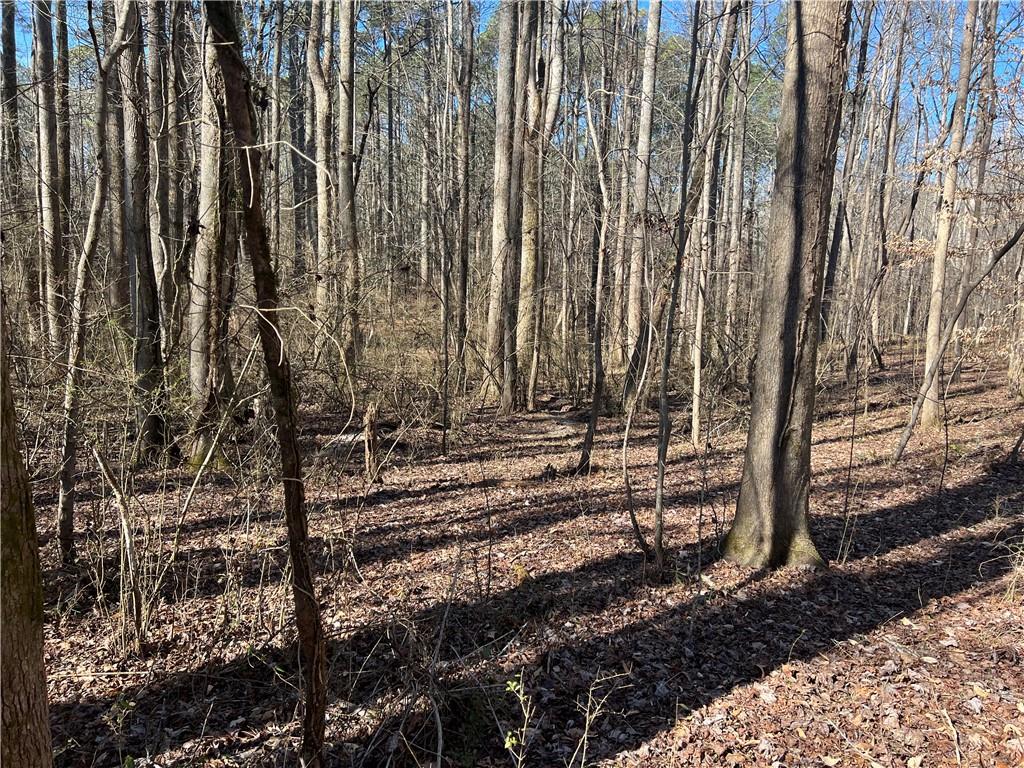 667 B Avery Road Canton, GA 30115 - Photo 7 of 15 a view of a backyard with trees