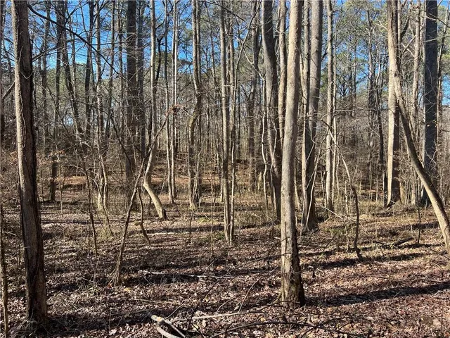 a view of a row of trees