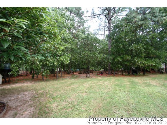 380 East Lake Ridge Road Raeford, NC 28376 - Photo 21 of 24 Gallery Image 21