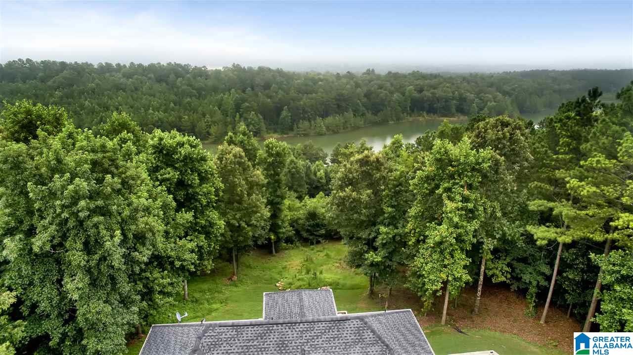 120 Ridgewood Lane Odenville, AL 35120 - Photo 30 of 31