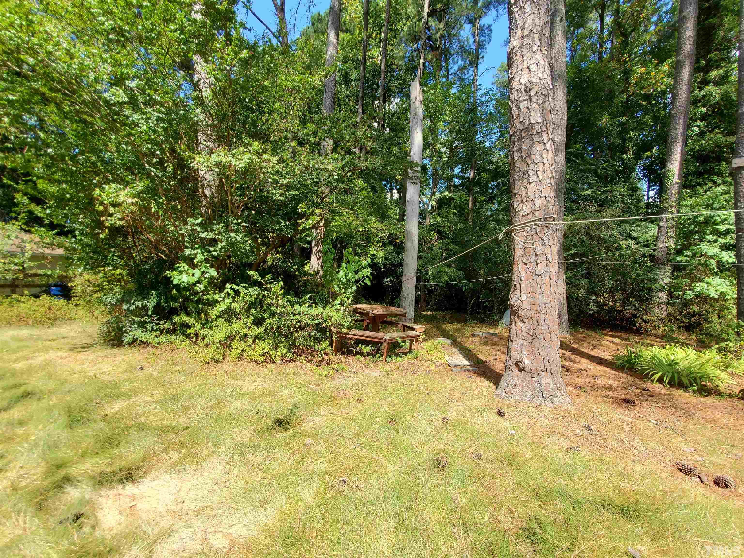 3505 Neptune Drive Raleigh, NC 27604 - Photo 5 of 28 a view of backyard with a table and chairs and potted plants