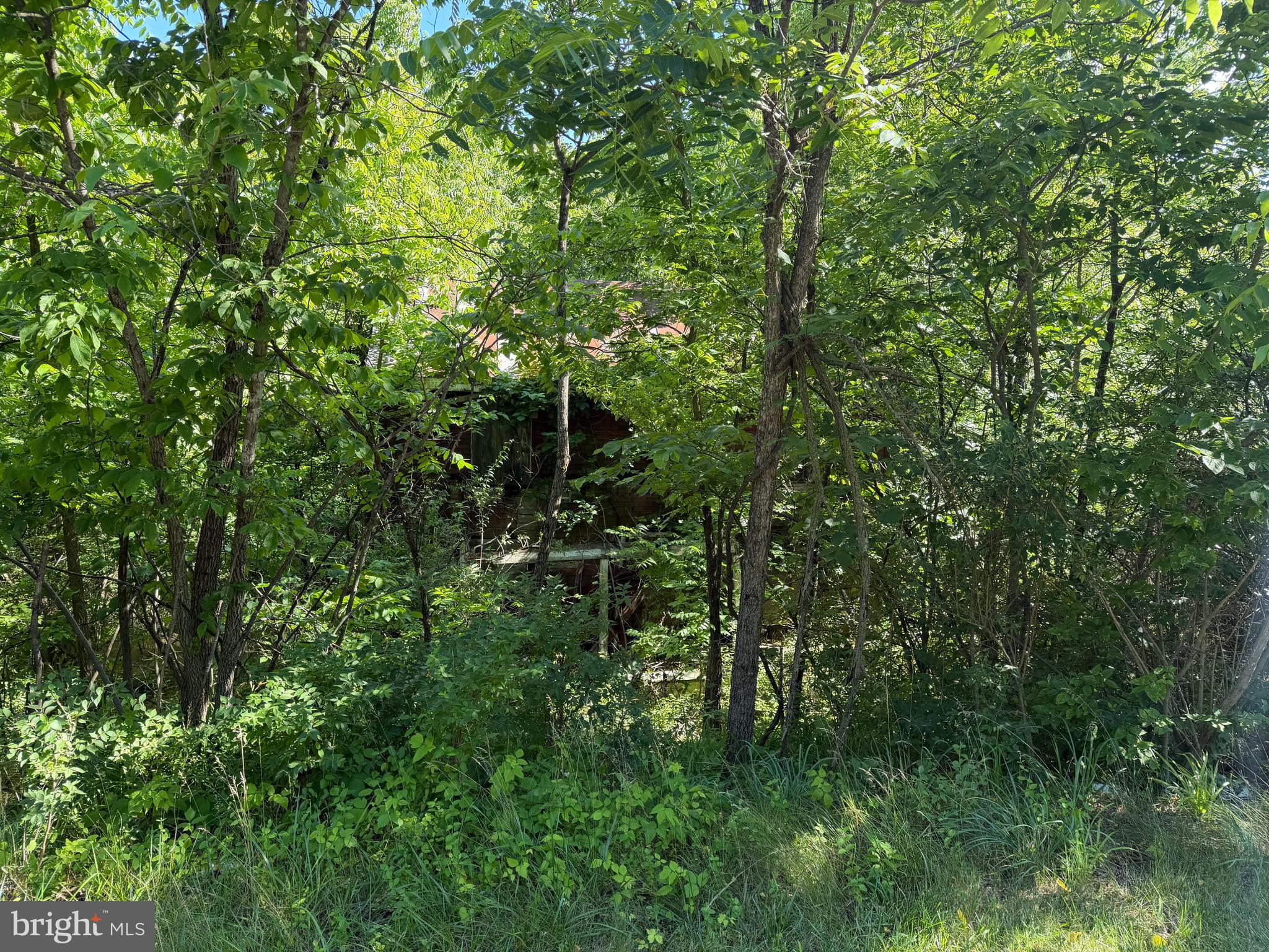 1326 Old Charles Town Road Stephenson, VA 22656 - Photo 4 of 5