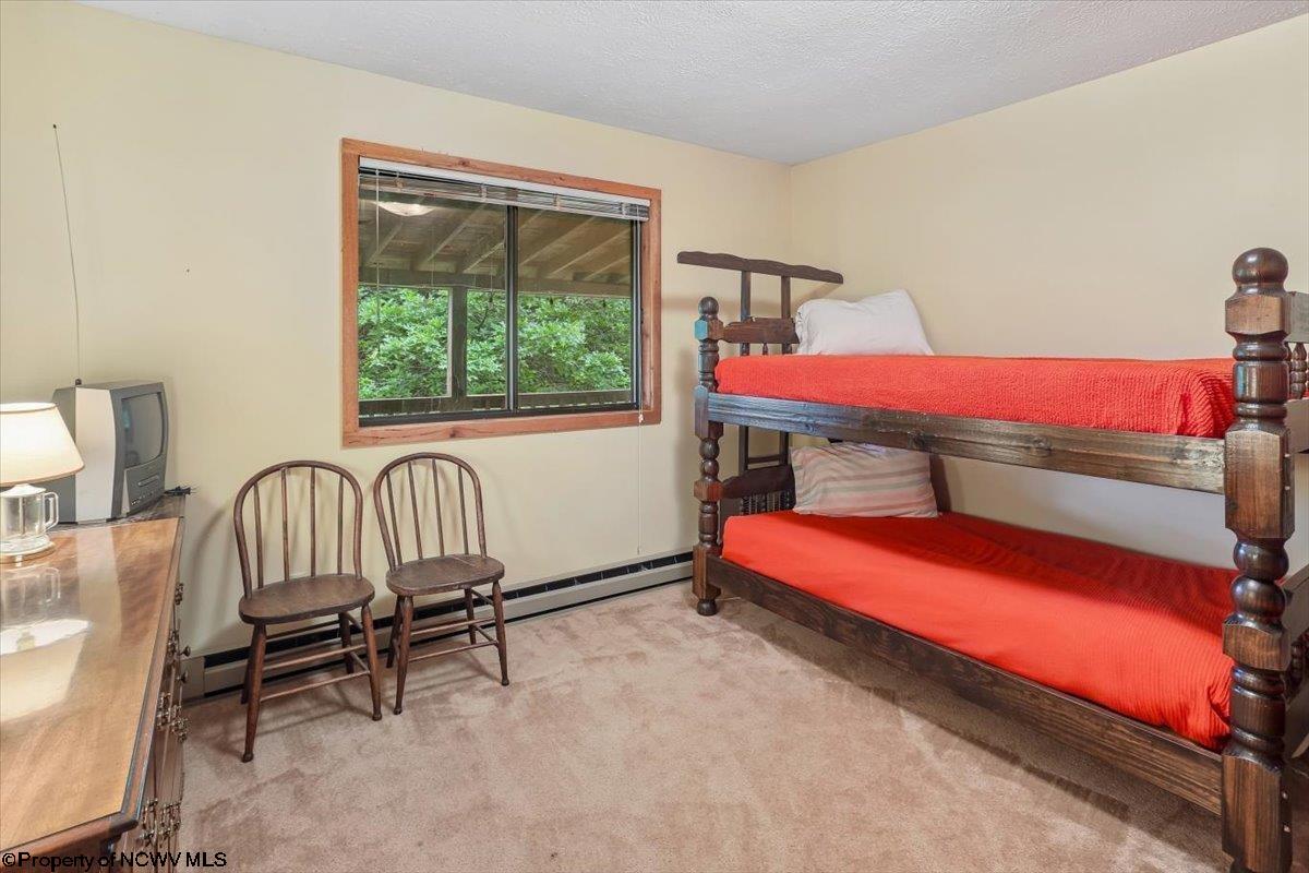 352 Ridge Road Davis, WV 26260 - Photo 23 of 47 Gallery Image 23
