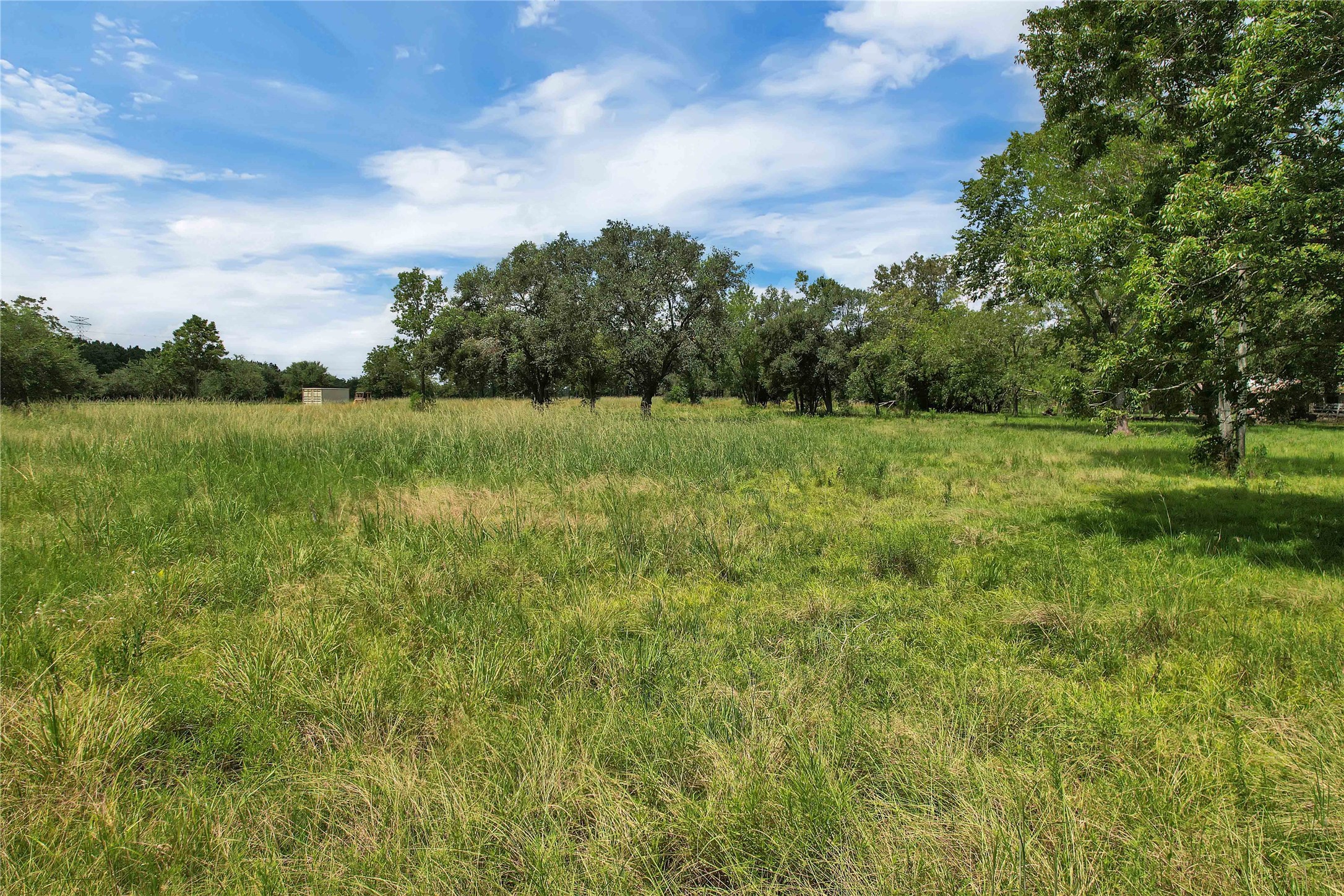 0 Kennings Road Crosby, TX 77532 - Photo 1 of 12 a view of a field with a tree in the background
