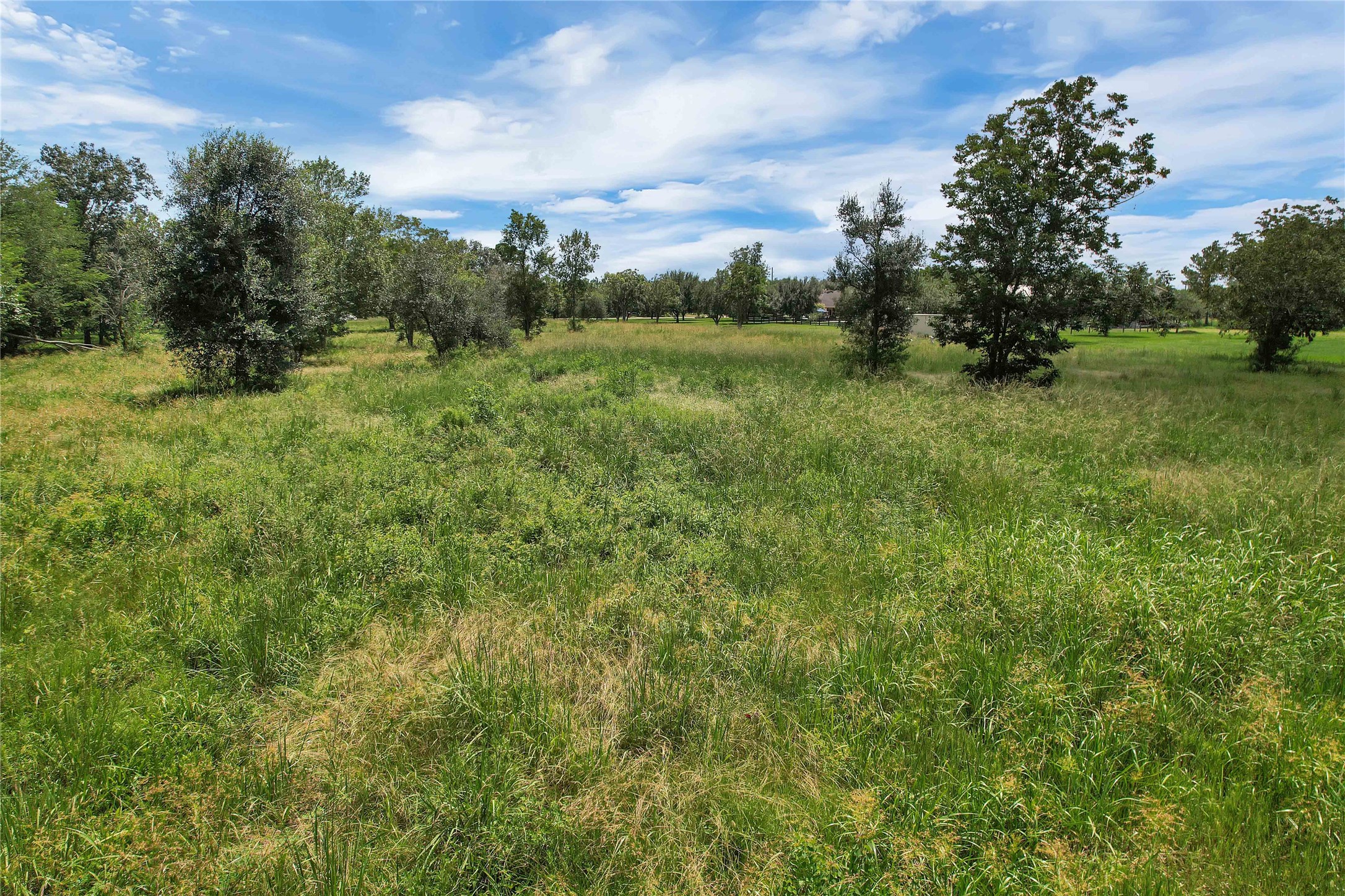 0 Kennings Road Crosby, TX 77532 - Photo 3 of 12 a view of a green field with lots of bushes