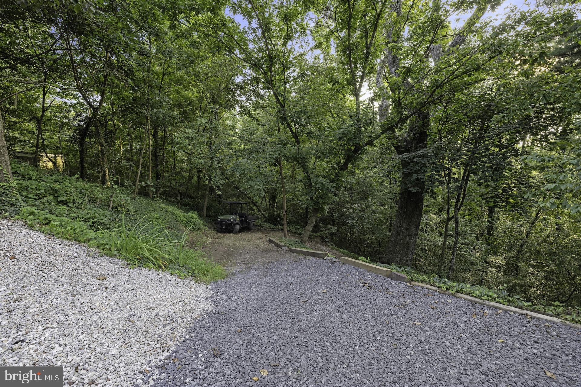 229 Boy Scout Road New Oxford, PA 17350 - Photo 56 of 73 a view of a forest with trees in the background